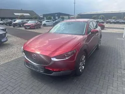 Rot Gebraucht 2019 Mazda CX-30 Selection SUV | 17.890 € (Guter Preis)