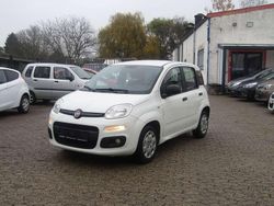 Weiß Gebraucht 2014 Fiat Panda Pop Kleinwagen | 4.500 € (Etwas zu teuer)