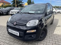 Schwarz Gebraucht 2020 Fiat Panda Easy Kleinwagen | 8.999 € (Fairer Preis)