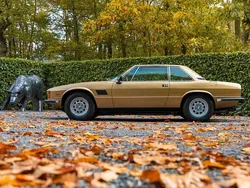 Gold Gebraucht 1977 De Tomaso De Tomaso Longchamp | 79.000 €