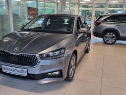 Grau Gebraucht 2022 Skoda Fabia Active Kleinwagen | 14.950 € (Etwas zu teuer)