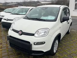 Weiß Neu 2025 Fiat Panda Pop Kleinwagen | 14.990 € (Fairer Preis)