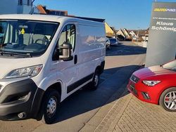 Weiß Gebraucht 2019 Fiat Ducato Van | 9.990 € (Guter Preis)