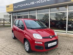 Rot Neu 2025 Fiat Grande Panda Kleinwagen | 12.698 € (Fairer Preis)