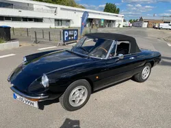 Alfa Romeo Spider