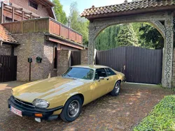 Gelb Gebraucht 1977 Jaguar XJS Coupé | 18.900 €