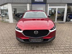 Gebraucht 2024 Mazda CX-30 Homura-Line SUV | 29.900 € (Etwas zu teuer)