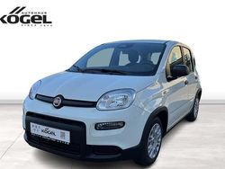 Weiß (gelato weiss) Neu 2024 Fiat Panda Kleinwagen | 14.490 € (Fairer Preis)