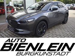 Grau Neu 2025 Mazda CX-30 Nagisa SUV | 29.100 €