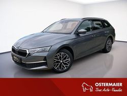 Grau Gebraucht 2024 Skoda Octavia Selection Kombi | 30.490 € (Guter Preis)