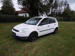 Weiß Gebraucht 2002 Ford Fiesta Kleinwagen | 480 € (Guter Preis)