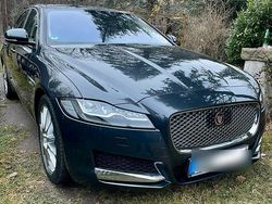 Grau Gebraucht 2016 Jaguar XF Limousine | 13.990 €