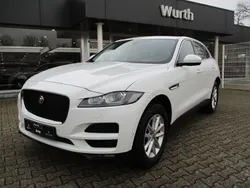 Weiß Gebraucht 2016 Jaguar F-Pace Portfolio SUV | 19.900 € (Teuer)