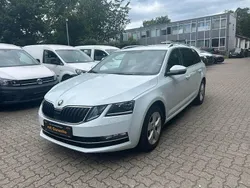 Weiß Gebraucht 2019 Skoda Octavia Business Line Kombi | 16.400 € (Guter Preis)