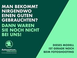 Schwarz Gebraucht 2022 Skoda Fabia Active Kleinwagen | 12.490 € (Guter Preis)