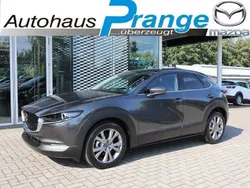 Machine gray Neu 2025 Mazda CX-30 Exclusive-Line SUV | 33.985 €