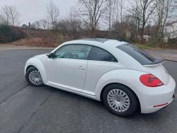 Weiß Gebraucht 2014 VW Beetle Coupé | 8.500 € (Guter Preis)