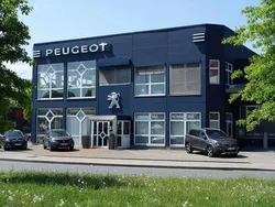 Grau Gebraucht 2022 Peugeot e-208 Active Kleinwagen | 15.490 € (Fairer Preis)