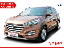 Braun Gebraucht 2018 Hyundai Tucson SUV | 23.990 € (Teuer)