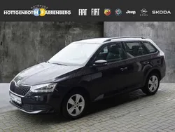 Schwarz schwarz Gebraucht 2019 Skoda Fabia Ambition Kombi | 11.900 € (Fairer Preis)