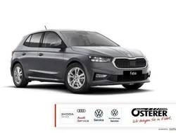 Grau Neu 2025 Skoda Fabia Limousine | 19.950 € (Fairer Preis)