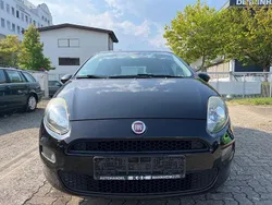 Schwarz Gebraucht 2013 Fiat Punto Pop Kleinwagen | 3.999 € (Fairer Preis)