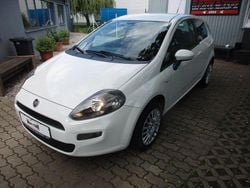 Weiß Gebraucht 2012 Fiat Punto More Kleinwagen | 3.899 € (Fairer Preis)