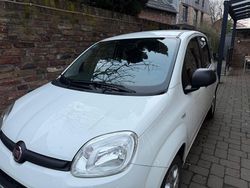 Weiß Gebraucht 2015 Fiat Panda Mystyle Kleinwagen | 6.499 € (Fairer Preis)