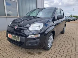 Schwarz Neu 2025 Fiat Panda Kleinwagen | 14.790 € (Fairer Preis)