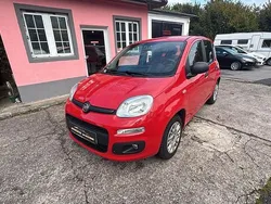 Rot Gebraucht 2017 Fiat Panda Easy Kleinwagen | 6.490 € (Guter Preis)