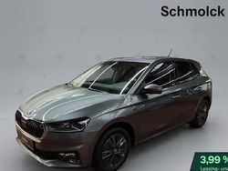 Grau Neu 2025 Skoda Fabia Tour Limousine | 25.890 € (Fairer Preis)