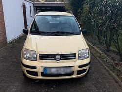Gelb Gebraucht 2008 Fiat Panda Kleinwagen | 490 € (Guter Preis)