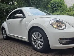 Weiß Gebraucht 2013 VW Beetle Coupé | 8.570 € (Fairer Preis)