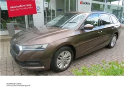 Braun Gebraucht 2020 Skoda Octavia Ambition Kombi | 15.770 € (Fairer Preis)