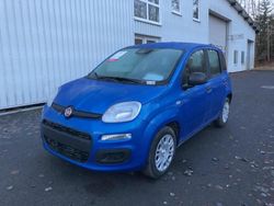 Blau Neu 2025 Fiat Grande Panda Kleinwagen | 12.698 € (Fairer Preis)