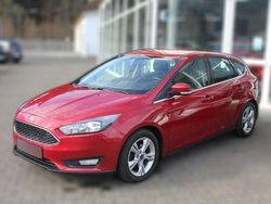 Rot metallic Gebraucht 2015 Ford Focus Sport | 9.620 € (Guter Preis)