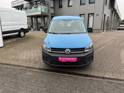 Blau Gebraucht 2019 VW Caddy Van / Kleinbus | 12.990 € (Fairer Preis)