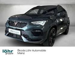"camouflage" gr]n Gebraucht 2023 Cupra Ateca SUV | 34.780 € (Guter Preis)
