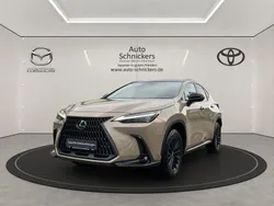 Beige Gebraucht 2024 Lexus NX350h E-FOUR SUV | 53.990 € (Etwas zu teuer)