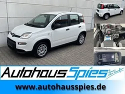 Weiß Gebraucht 2023 Fiat Panda Kleinwagen | 12.989 € (Fairer Preis)