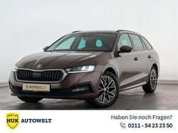 Braun Gebraucht 2021 Skoda Octavia Ambition Kombi | 19.460 € (Superpreis)