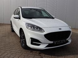 Weiß Gebraucht 2024 Ford Kuga ST-Line SUV | 37.490 € (Etwas zu teuer)