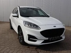 Weiß Neu 2024 Ford Kuga ST-Line SUV | 40.990 € (Teuer)