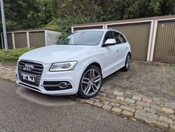 Weiß Gebraucht 2015 Audi SQ5 SUV | 27.700 € (Etwas zu teuer)