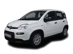 Weiss Neu 2025 Fiat Panda Kleinwagen | 15.849 €