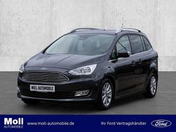 Magneticgrau (metallic) Gebraucht 2019 Ford C-MAX Titanium Van / Kleinbus | 17.690 € (Teuer)