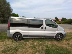 Silber Gebraucht 2008 Renault Trafic Van | 7.800 € (Teuer)