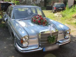 Blau Gebraucht 1971 Mercedes S250 Limousine | 19.000 €