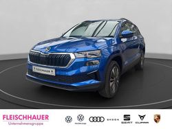 Blau Neu 2025 Skoda Karoq Selection SUV | 39.790 € (Teuer)