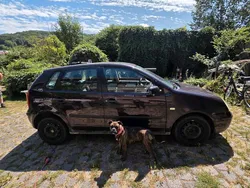 Violett Gebraucht 2002 VW Polo Classicline Kleinwagen | 850 € (Superpreis)